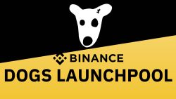 Binance DOGS Launchpool