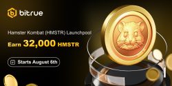 Bitrue Hamster Combat Launchpool