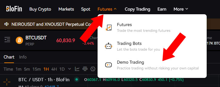 BloFin Demo Trading Menu
