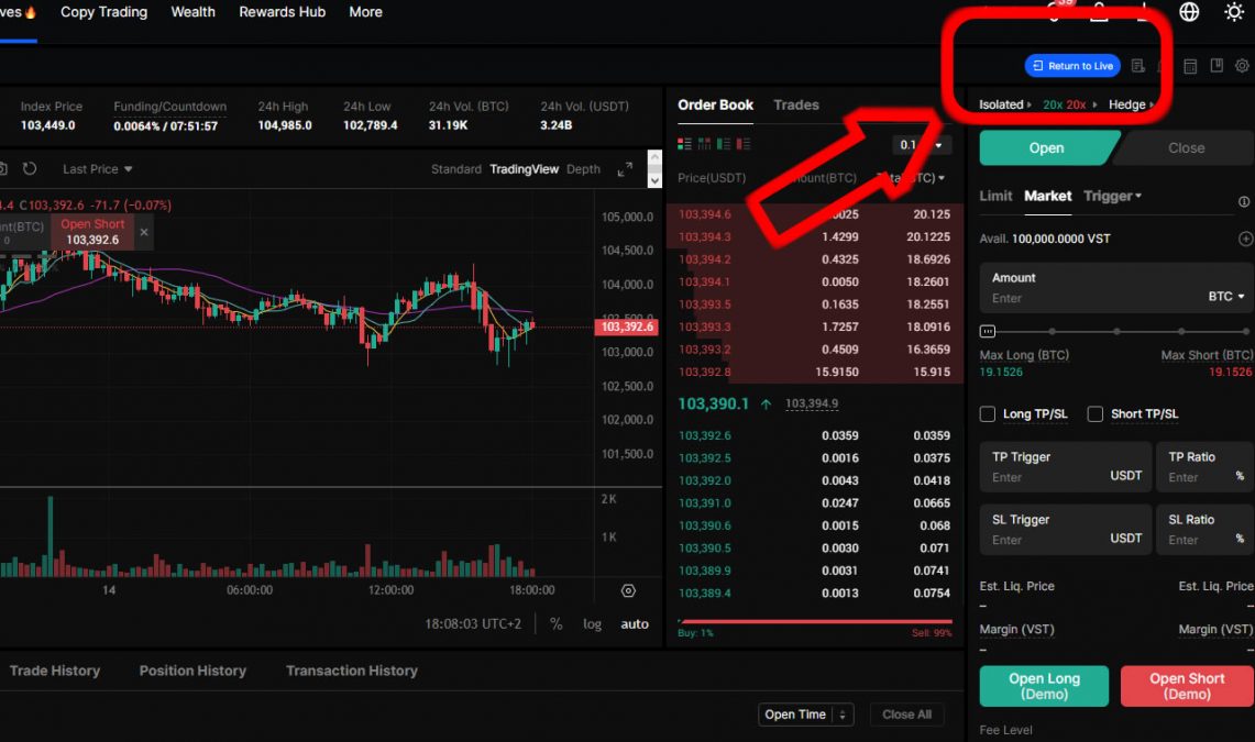 BingX Demo Trading