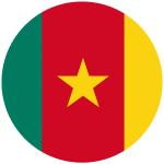 Cameroon flag