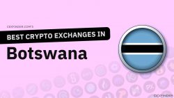 Crypto Exchanges in Botswana