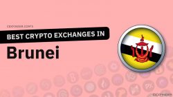 Crypto Exchanges in Brunei