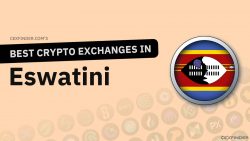 Crypto Exchanges in Eswatini