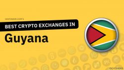 Crypto Exchanges in Guyana