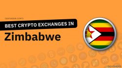 Crypto Exchanges in Zimbabwe