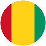 Guinea flag