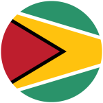 Guyana flag