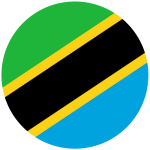Tanzania flag